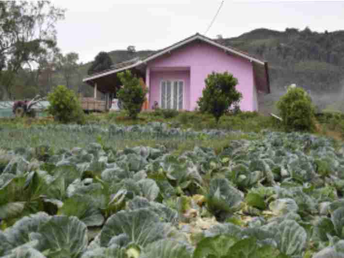 Habitação
